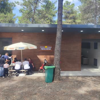 Sultanbeyli Fethi Korusu'nda Mangal Birimlerinde Hijyen Sorunu