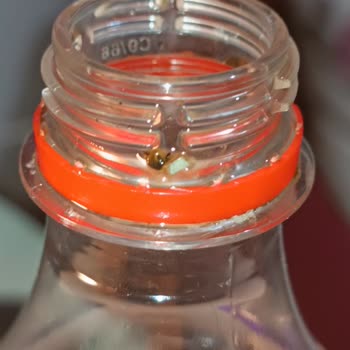 Coca-Cola Şişesinde Yabancı Maddeler Ve Sağlık Endişesi