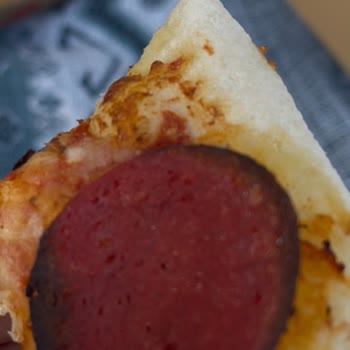 Terra Pizza’da Kıl Bulunan Pizzada Hijyen İhlali Ve Telafi Talebi