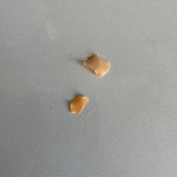 Eti Lifalif Yulaf'ta Plastik Parçalar Bulunması Gıda Güvenliği Endişesi