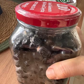 Cepte Şok Uygulamasında Eksik, Küflü Ve Yanlış Ürün, Cevapsız Destek Şikayeti