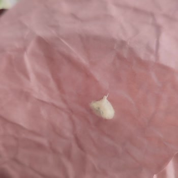Larvalı Ve Küflü Çiçek Buketi İçin Ücret İadesi Talebi