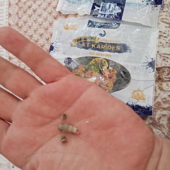 A101'de Donmuş Üründe Yabancı Madde Bulunması Hijyen Güvenliğini Sarsıyor