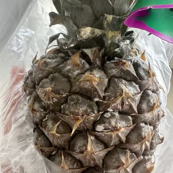 Migros Şubesinden Gelen Bozuk Ananas Ve Cevapsız Müşteri Hizmetleri