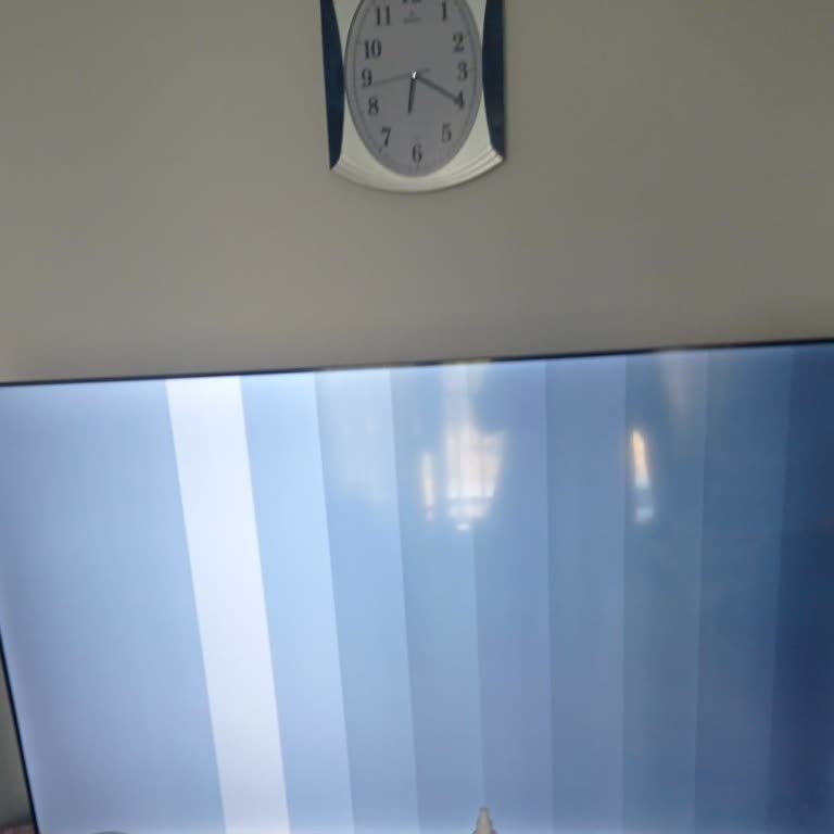 Onarım Süresi Aşıldı, Müşteri Hizmetleri İlgisiz: Televizyon İadesi İstiyorum