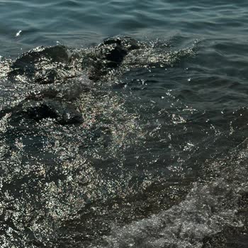 Oda Hijyeni Ve Güvenlik Sorunları Nedeniyle Tam İade Talebi