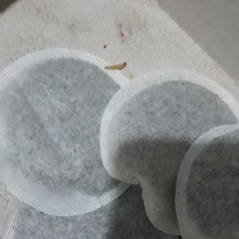 Şok Marketler Deren Bergamotlu Çayda Yapışık Ve Kurtlu Poşetler