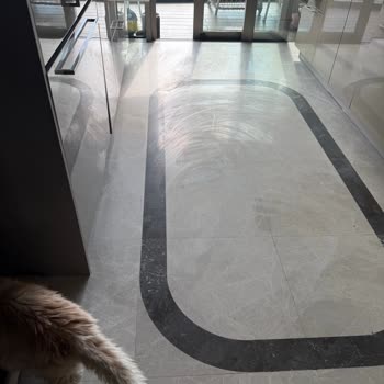 Randevuya Uyum Sağlanmadı, Görevli Gelmedi Ve Eşyalarım Çizildi, İade Talep Ediyorum