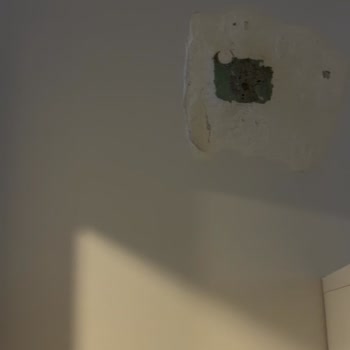 Gizli Şerh Ve Su Sızıntısı Nedeniyle Kapora İadesi Ve Cezai Şart Talebi