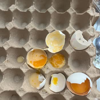 Yemeksepeti Market’te Parça Parça Teslimat Ve Bozuk Gıdalar Nedeniyle Ücret İadesi Talebi