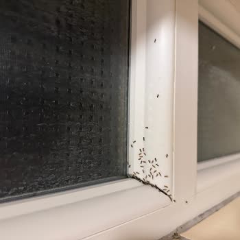 Yanıltıcı Oda Bilgisi, Tek Yatak Talebinin Gözardı Edilmesi Ve Hijyen Sorunları