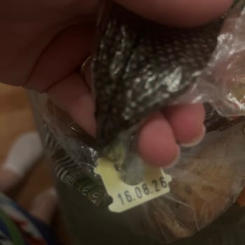Küflü Ekmek Satın Alınması Sağlık Riski Ve İade Talebi
