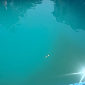 Kuşadası Sentinus Hotelde Hijyen Sorunları Ve Sağlık Mağduriyeti