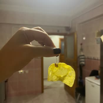 Lays Cipsinde Kıl Benzeri Yabancı Madde Hijyen Sorunu
