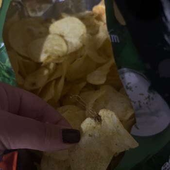 Lays Cipsinde Kıl Benzeri Yabancı Madde Hijyen Sorunu