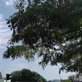 Orta Avrupa Turu Coral Turizm