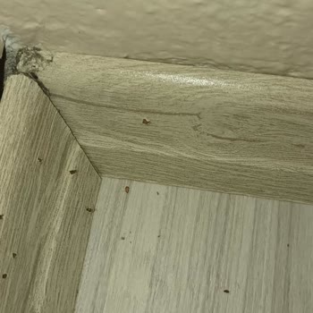 Tahta Kurusu İçeren Yatak Başlığı, Eksik Baza Ayağı Ve Yetersiz Servis