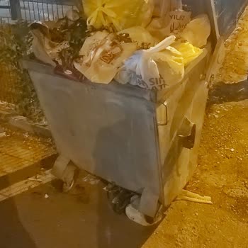 Balıkesir Altıeylül 12113 Sokak’ta Çöp Konteyneri Delik Olduğu İçin Koku Ve Çöp Dağınıklığı