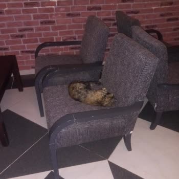 Eki aç