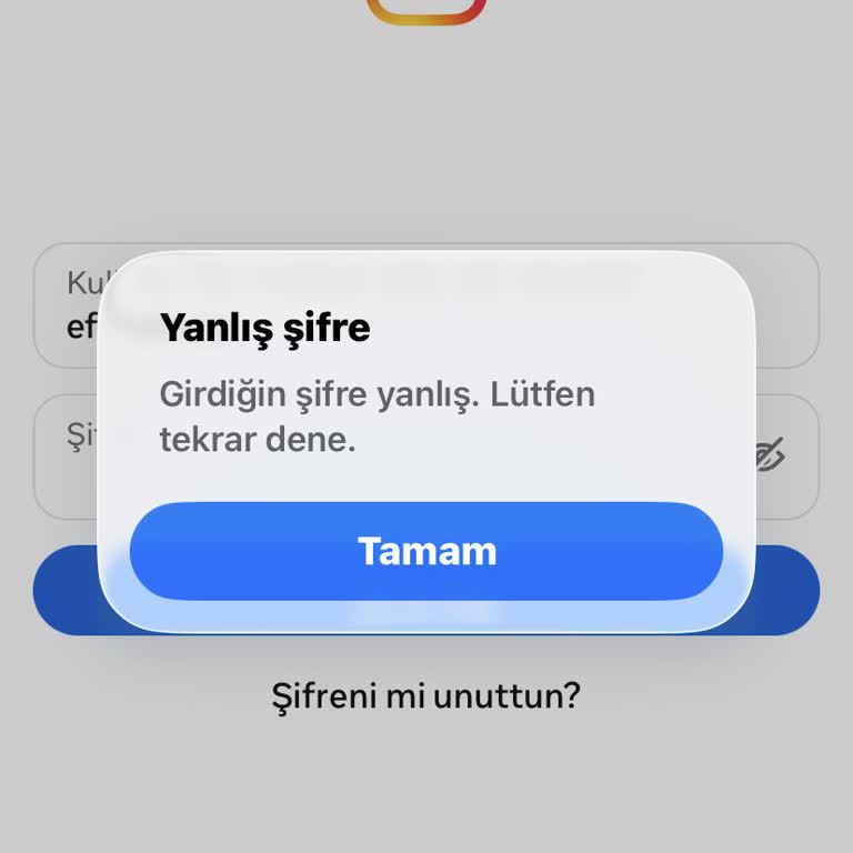 Instagram Hesabım Şifre Doğru Olmasına Rağmen Giriş Yapamıyor