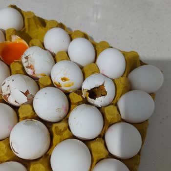 BİM Mağazasında Satılan Çürük Ve Kurtlanmış Yumurta Sağlık Riski Oluşturdu