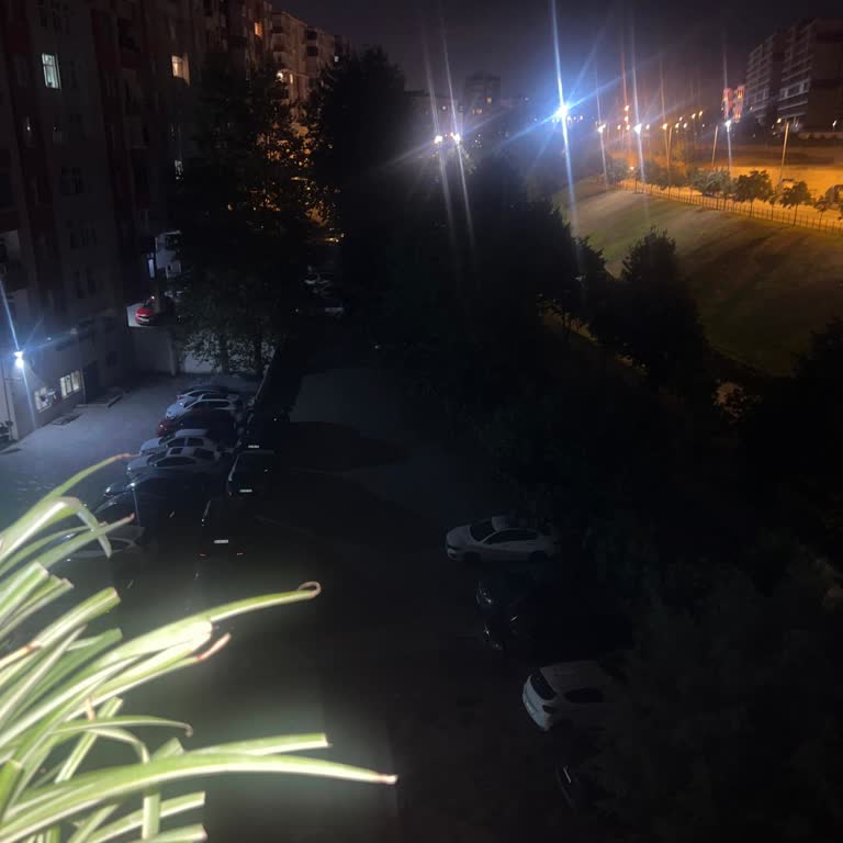 Ümraniye Elmalıkent Mahallesinde Sokak Köpeklerinin Artışı Ve Güvenlik Endişesi