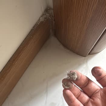 Ödenen Temizlik Ücreti Karşılığında Temizlik Yapılmadı Ve Banko Kırıldı