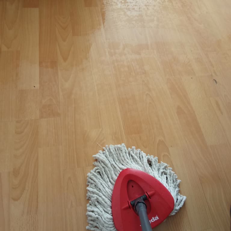 Vileda Temizlik Yapmak Yerine Evi Daha Da Kirletip Su İçinde Bırakıyor