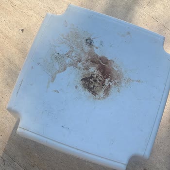 Mc Beach Otel’de Hijyen Eksikliği Ve Sağlık Riski Nedeniyle Ücret İadesi Talebi