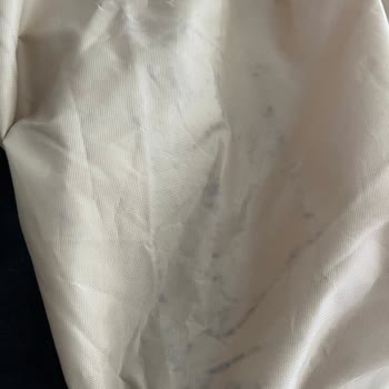 Yeni Alınan Seyahat Çantasında Dikiş Sorunu Ve Küflenme: Değişim Veya İade Talebi