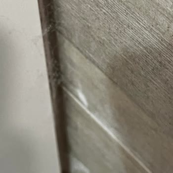 Livia Hotelde Oda Ve Kahvaltı Hijyeninde Aşırı Kirlilik