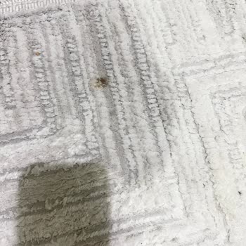 Kumtel Patlayan Ocak Camı Anneyi Tehlikeye Attı