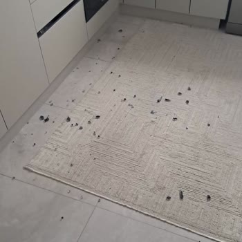 Kumtel Patlayan Ocak Camı Anneyi Tehlikeye Attı