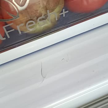 Arçelik Nofrost Buzdolabımın Fresh+ Bölümünde Çatlak Ve Deformasyon, Çözüm Sunulmadı
