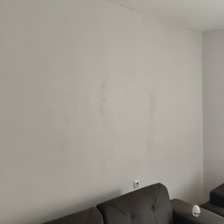 Boya kokusu ve duvar kalitesi şikayeti