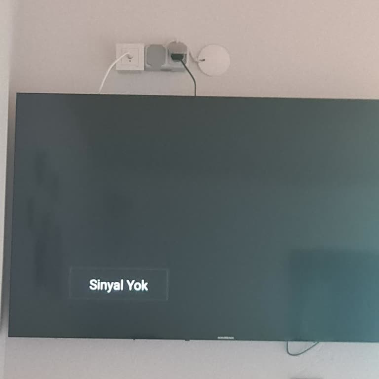 Satın Aldığım TV'de 'Sinyal Yok' Hatası Ve Ücretsiz Servis Talebi