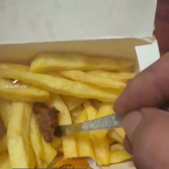 Maydonoz Döner Patates İçinden Kızarmış Böcek Çıktı