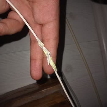 Fiber Kablo Kırılması Ve İnternet Kesintisi İçin Acil Onarım Talebi