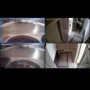 Xenon Smart Kamera Güvenlik Açığı Ve Mahremiyet İhlali