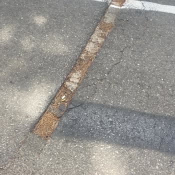 Büyükada Nizam Mahallesi’ndeki Derin Çukurlar Ve Bozuk Asfalt Acilen Onarılmalı
