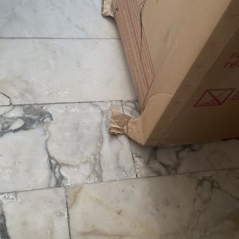 Kargo Buzdolabını Sürükleyerek Taşıdı Ve İçeri Taşıma Ücreti İstedi