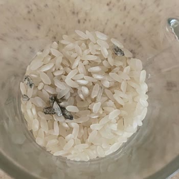 A101 Şubesinde Tarihli Pirinçte Küf ve Sağlık Riski
