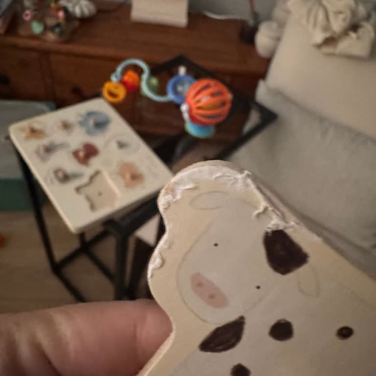 Zara Home'dan Çocuk Sağlığına Uygun Olmayan Oyuncak İçin İade Talebi
