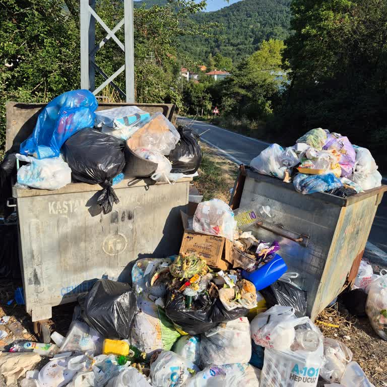 Köyde Çöp Toplanmaması Şiddetli Koku Ve Hijyen Problemi: Acil Çözüm Talebi