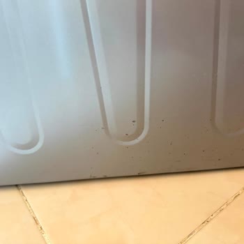 Arçelik Buzdolabı Ve Bulaşık Makinesindeki Kalıcı Lekeler İçin Çözüm Talebi