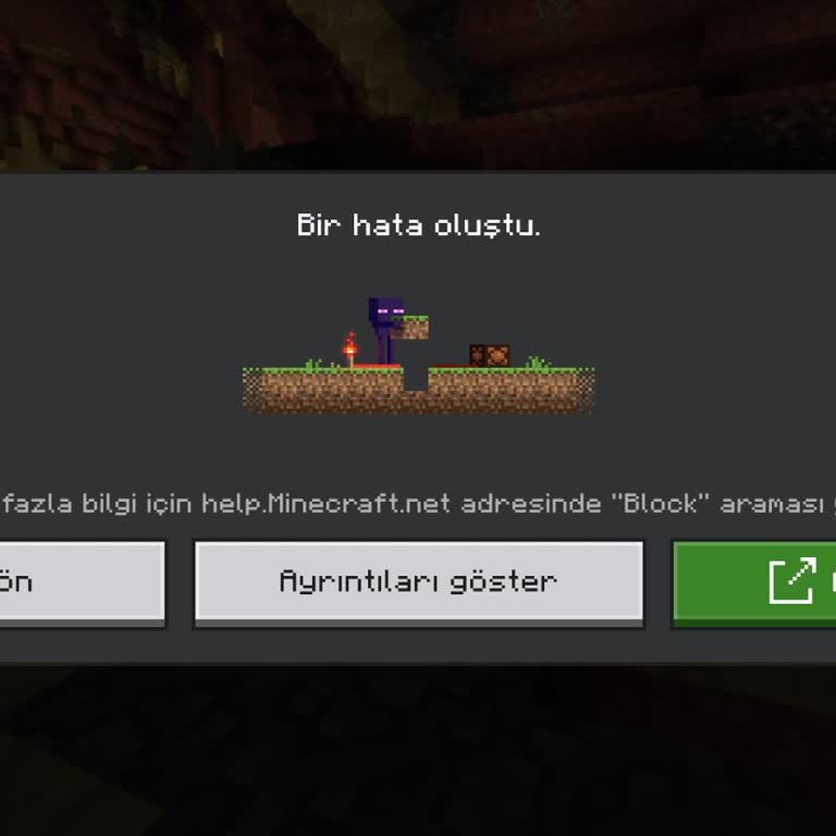 Minecraft Bedrock Mobilde Craft Luna Sunucusuna Bağlantı Hatası