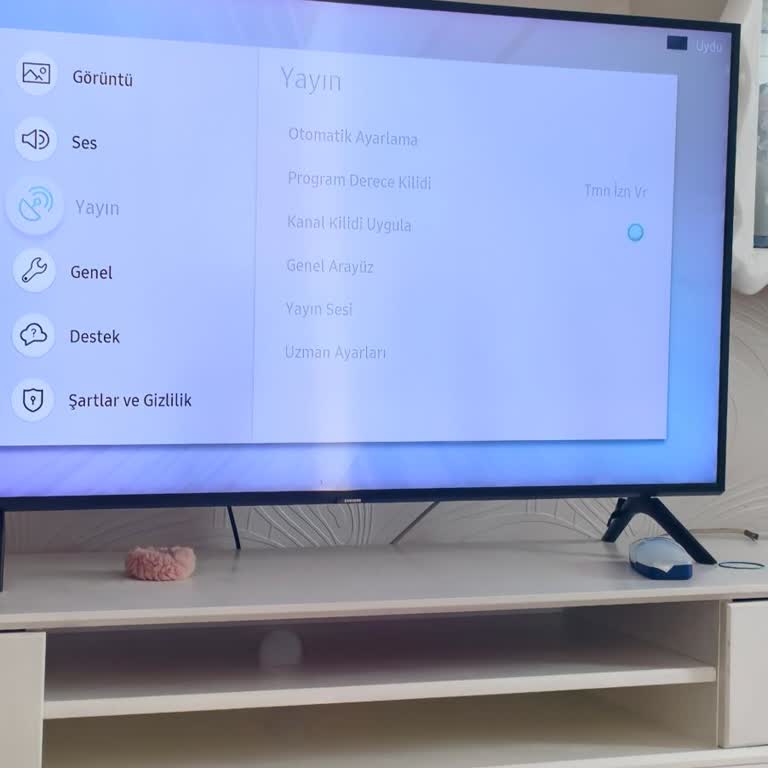 Samsung TV'de Uydu Ve Fabrika Ayarı Menüsü Pasif, Destek Yanıtı Yok