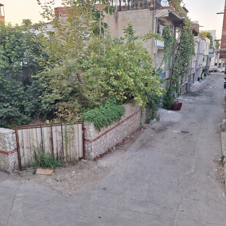 Yıldırım’da Kontrolsüz Hayvan Beslemesi Ve Pire İstilası Mahalleyi Tehdit Ediyor
