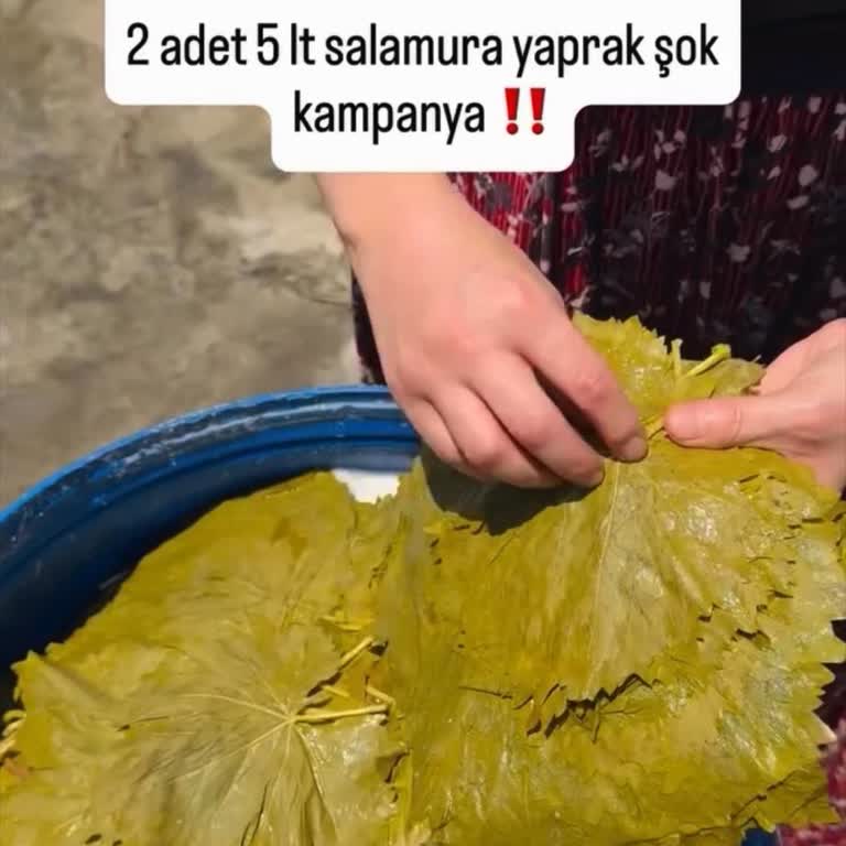 İzinsiz Video Kullanımı Nedeniyle İçerik Kaldırma Ve Önleme Talebi