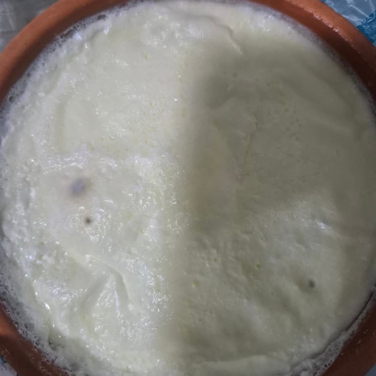 Küflenmiş Ürün, Mağaza Kapanışı Ve Acil İade Talebi